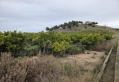 Terreno no urbanizable en venta en la España, Rafelcofer, ref: TR381756 foto