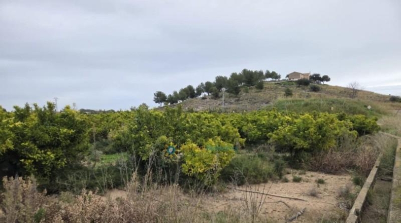 Valencia - Rafelcofer - 2480m2