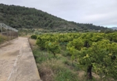 Terreno no urbanizable en venta en la España, Rafelcofer, ref: TR381756 foto