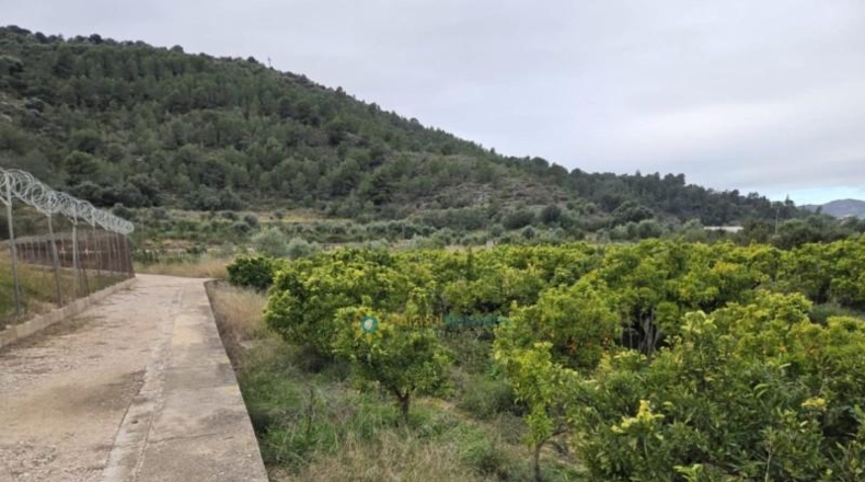 Valencia - Rafelcofer - 2480m2