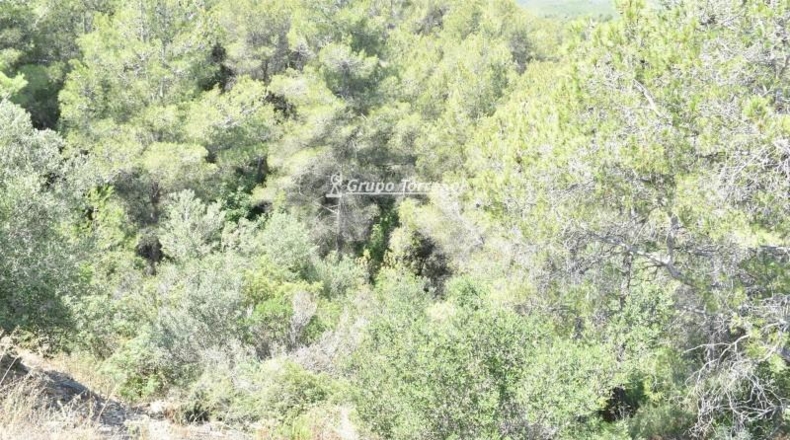 Tarragona - la Bisbal del Penedès - 704m2