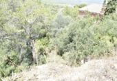 Parcela urbanizable en venta en la España, la Bisbal del Penedès, ref: TR376361 foto