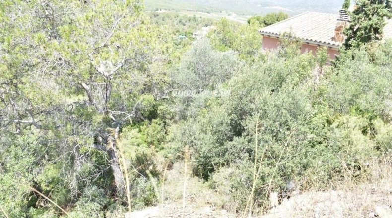 Tarragona - la Bisbal del Penedès - 704m2