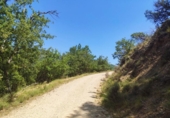 Terreno no urbanizable en venta en la España, Graus, ref: TR166630 foto