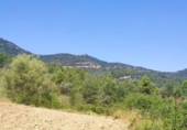 Terreno no urbanizable en venta en la España, Graus, ref: TR166630 foto