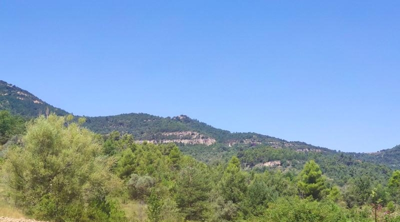 Huesca - Graus - 18262m2
