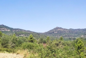 Foto 11