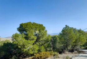 Aspe 3900&nbsp;m²