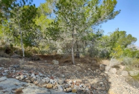 Aspe 3900&nbsp;m²