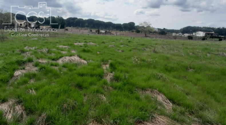 Huelva - Almonte - 5000m2
