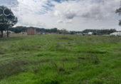 Terreny no urbanitzable en venda a la España, Almonte, ref.: TR409420 foto