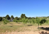 Xalet independent amb terreny en venda a la España, Vall-de-roures, ref.: TR337419 foto