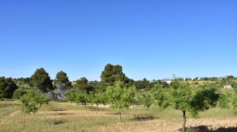 Teruel - Valderrobres - 15267m2