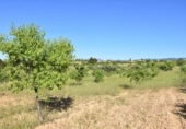 Xalet independent amb terreny en venda a la España, Vall-de-roures, ref.: TR337419 foto