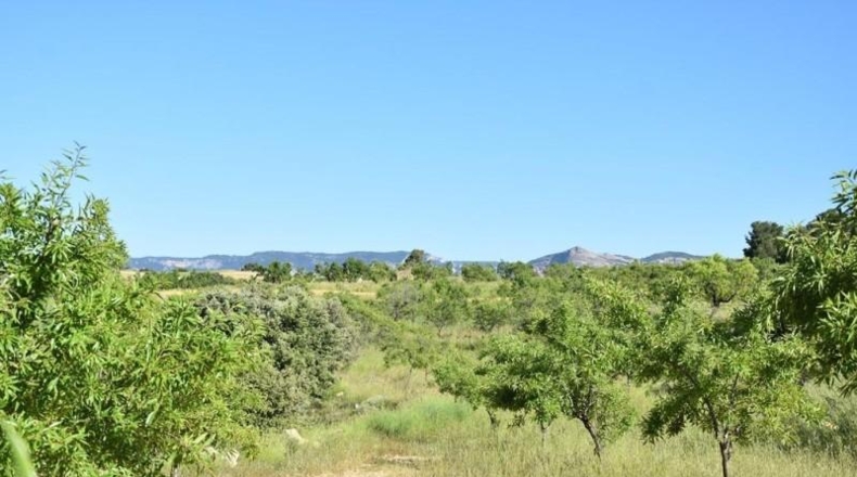 Teruel - Valderrobres - 15267m2