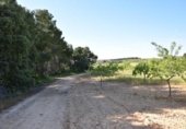 Xalet independent amb terreny en venda a la España, Vall-de-roures, ref.: TR337419 foto