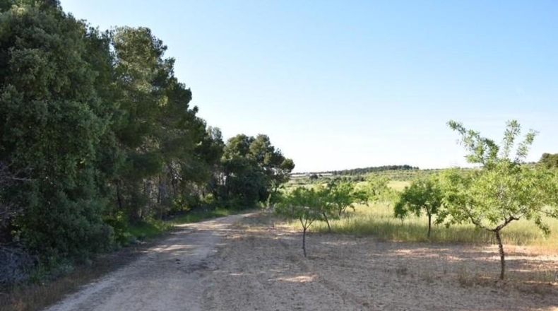 Teruel - Valderrobres - 15267m2