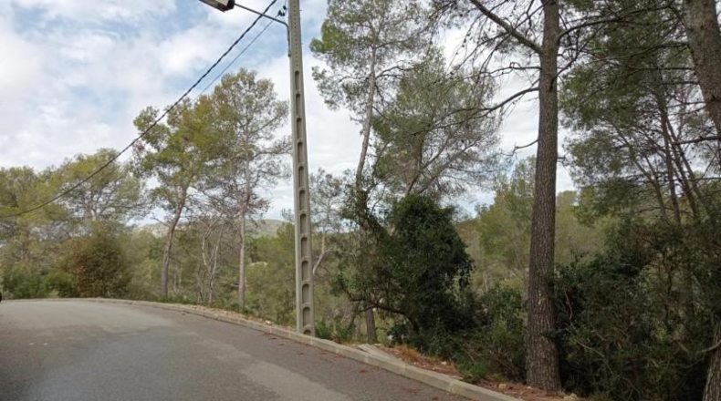Barcelona - Olivella - 856m2