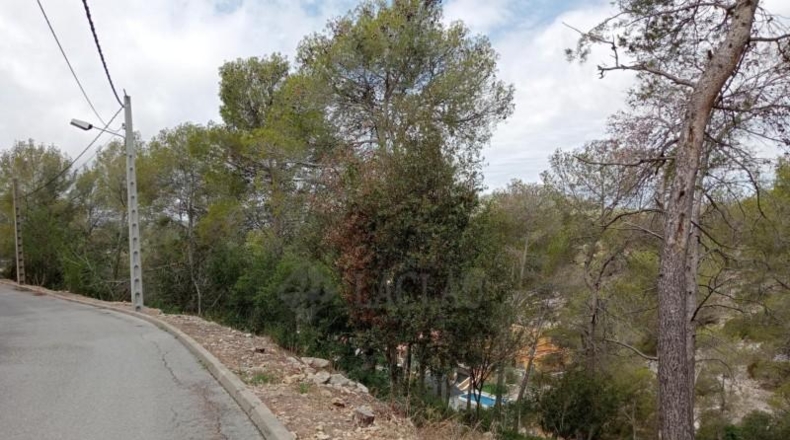 Barcelona - Olivella - 856m2