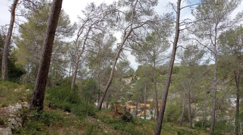 Barcelona - Olivella - 856m2