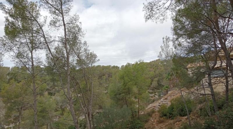 Barcelona - Olivella - 856m2