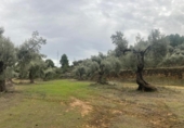 Xalet independent amb terreny en venda a la España, Vall-de-roures, ref.: TR399715 foto