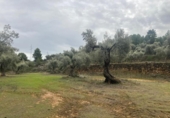 Xalet independent amb terreny en venda a la España, Vall-de-roures, ref.: TR399715 foto
