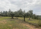 Xalet independent amb terreny en venda a la España, Vall-de-roures, ref.: TR399715 foto