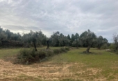 Xalet independent amb terreny en venda a la España, Vall-de-roures, ref.: TR399715 foto