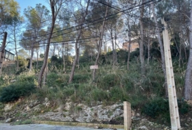 Olivella 639&nbsp;m²