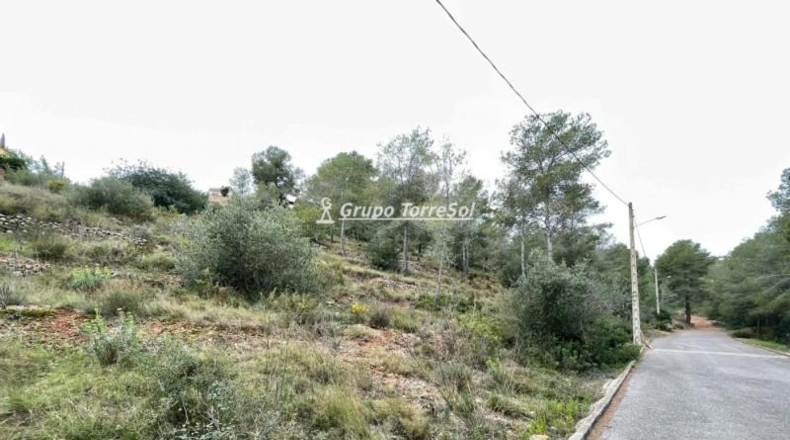 Tarragona - la Bisbal del Penedès - 1064m2