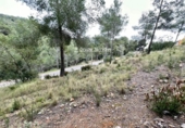 Parcela urbanizable en venta en la España, la Bisbal del Penedès, ref: TR396737 foto