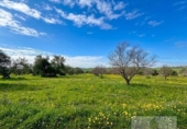Terreno no urbanizable en venta en la España, Bollullos Par del Condado, ref: TR391198 foto