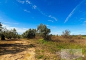 Terreno no urbanizable en venta en la España, Bollullos Par del Condado, ref: TR391198 foto