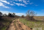 Terreno no urbanizable en venta en la España, Bollullos Par del Condado, ref: TR391198 foto