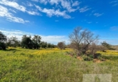 Terreno no urbanizable en venta en la España, Bollullos Par del Condado, ref: TR391198 foto
