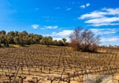 Terreno no urbanizable en venta en la España, Bollullos Par del Condado, ref: TR391198 foto