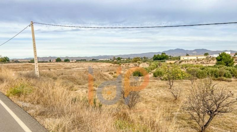 Almería - Huércal-Overa - 3498m2