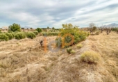 Terreno no urbanizable en venta en la España, Huércal-Overa, ref: TR403533 foto