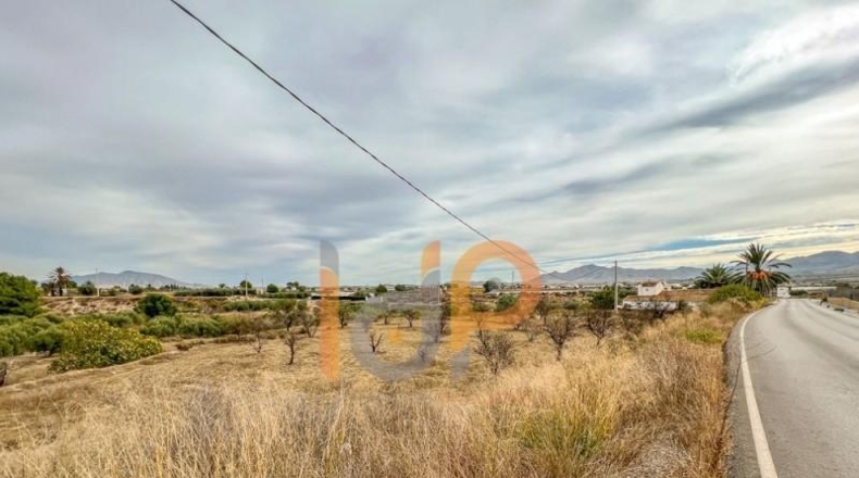 Almería - Huércal-Overa - 3498m2