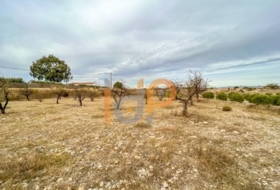 Huércal-Overa 3498&nbsp;m²