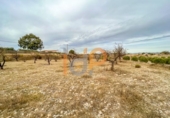 Terreno no urbanizable en venta en la España, Huércal-Overa, ref: TR403533 foto