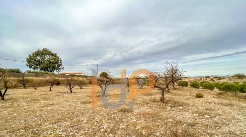 Almería - Huércal-Overa - 3498m2