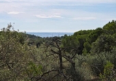 Terreno no urbanizable en venta en la España, l'Ametlla de Mar, ref: TR398591 foto