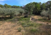 Terreno no urbanizable en venta en la España, l'Ametlla de Mar, ref: TR398591 foto
