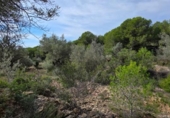 Terreno no urbanizable en venta en la España, l'Ametlla de Mar, ref: TR398591 foto
