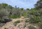 Terreno no urbanizable en venta en la España, l'Ametlla de Mar, ref: TR398591 foto
