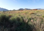 Terreno no urbanizable en venta en la España, Montealegre del Castillo, ref: TR333837 foto