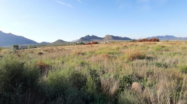 Murcia - Jumilla - 6913m2