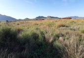 Terreno no urbanizable en venta en la España, Montealegre del Castillo, ref: TR333837 foto